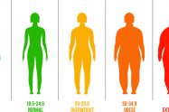 BMI - Body Mass Index Calculator