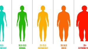 BMI - Body Mass Index Calculator